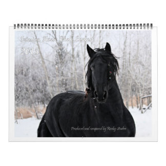 Friesian Horse Huge Photo Calendar