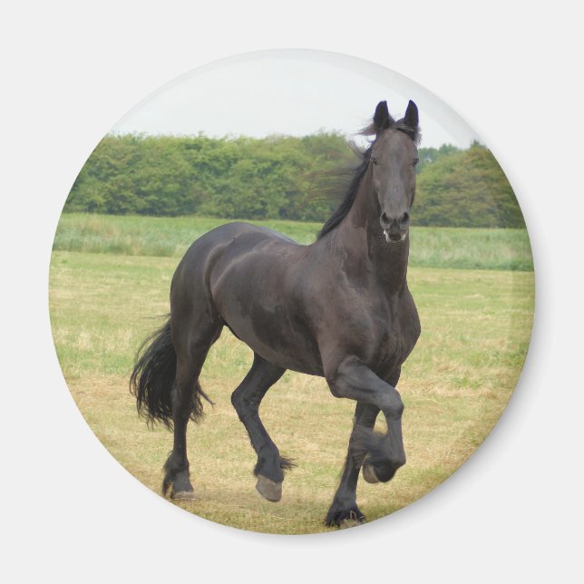 Friesian Horse Magnet (Front)