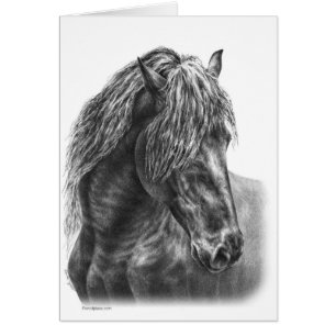 Friesian Horse Portrait Drawing by Kelli Swan