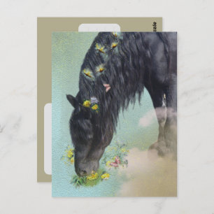 Friesian Horse - Postcard