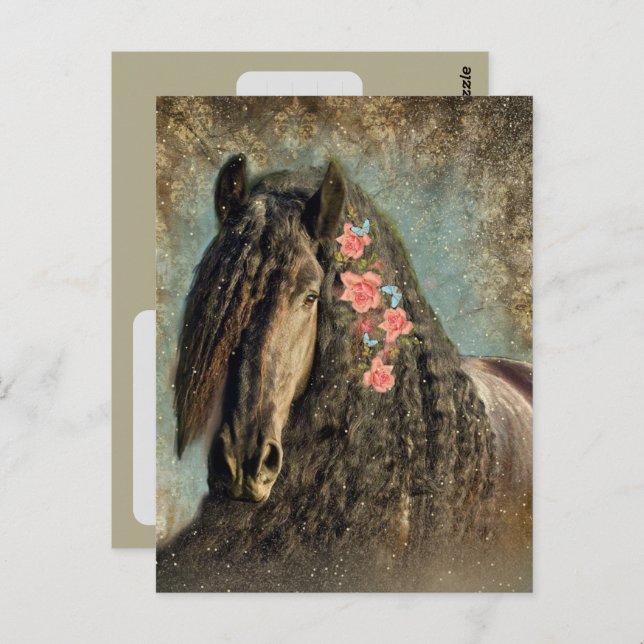 Friesian Horse - Postcard (Front/Back)