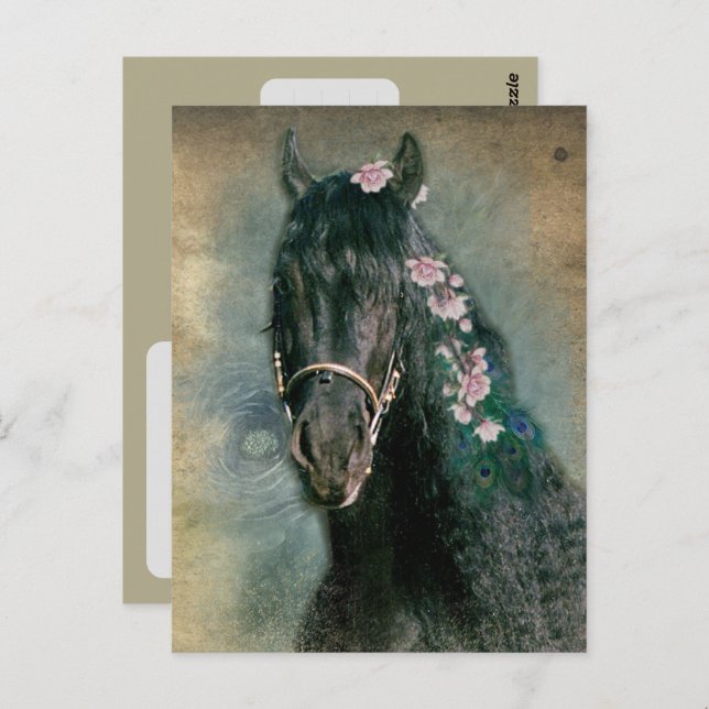 Friesian Horse - Postcard (Front/Back)