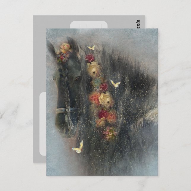 Friesian Horse - Postcard (Front/Back)