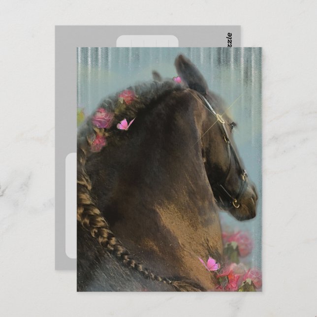 Friesian Horse - Postcard (Front/Back)