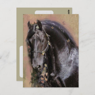 Friesian Horse - Postcard
