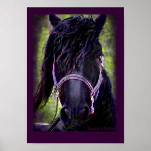 Friesian Horse Poster