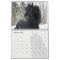 Friesian Horses Calendar
