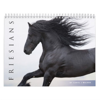 Friesian Horses Calendar
