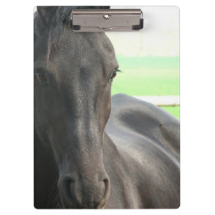 Friesian Horses Clipboard