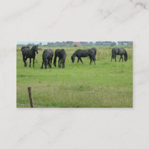 Friesian Horses in Green Meadow Small Photo Card