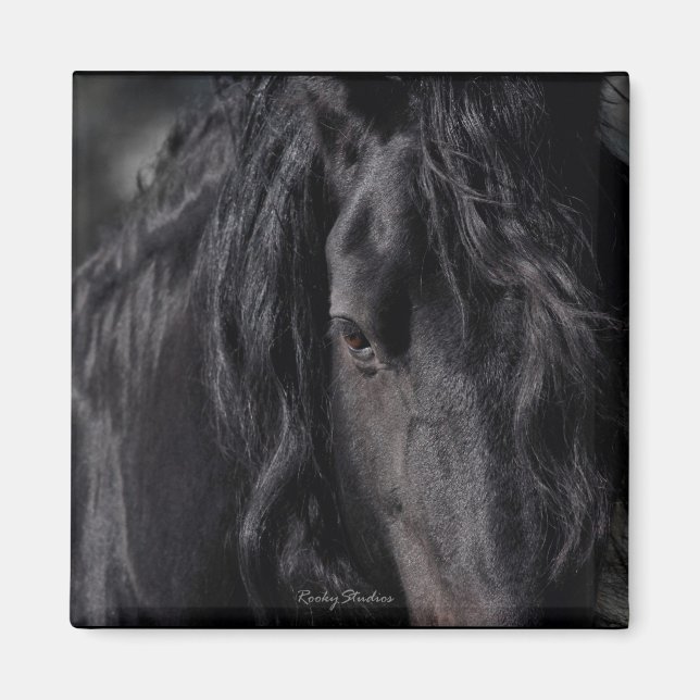 Friesian Image Magnet (Front)