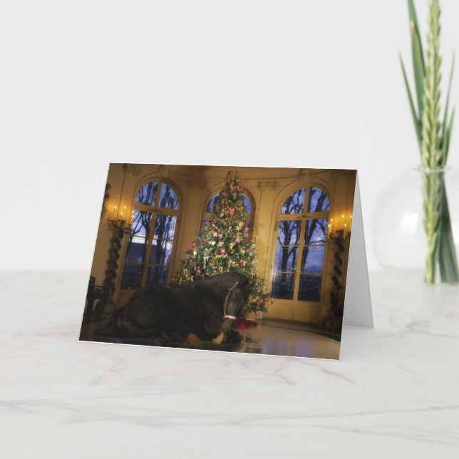 Friesian Mare Christmas Card (Front)