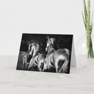 Friesian mares card