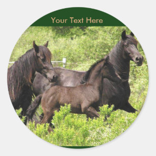 Friesian Mares Stickers #1