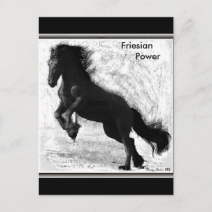 Friesian Power Postcard #3