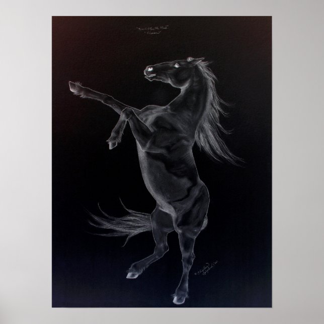 Friesian Rearing Black & White Poster (Front)