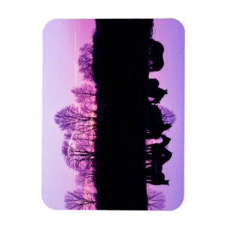 Friesian Reflections at Sunset Magnet