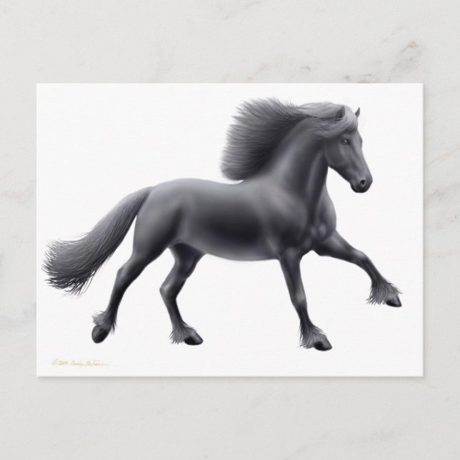 Friesian Running Free Postcard (Front)