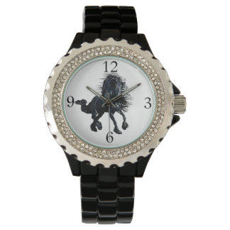 Friesian stallion black beauty horse watch