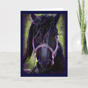 Friesian Stallion Card