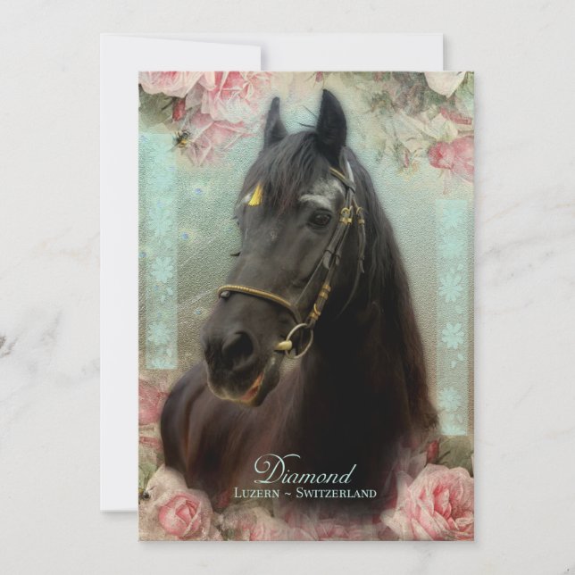 Friesian Stallion DIAMOND - Greeting Card (Front)