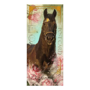 Friesian Stallion ~ Fan Card