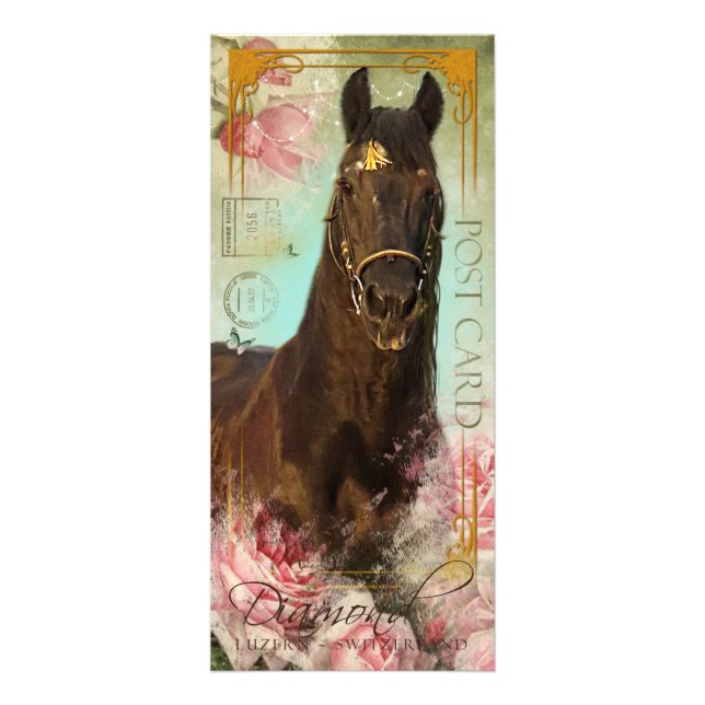 Friesian Stallion ~ Fan Card (Front)