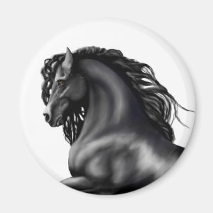 Friesian Stallion horse Magnet
