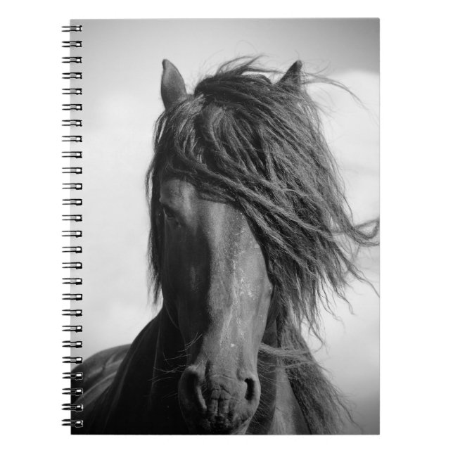 Friesian stallion in the wind. spiral notebook (Front)