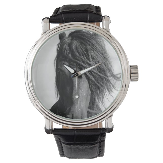 Friesian stallion in the wind. watch (Front)