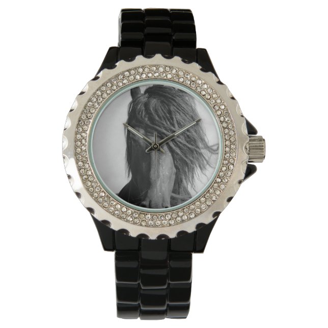 Friesian stallion in the wind. watch (Front)