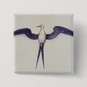Frigate Bird 15 Cm Square Badge