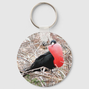 Frigate Bird (Fragata) in Mating Display Galapagos Key Ring