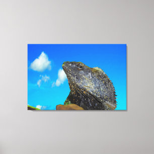 Frill necked Lizard Canvas Print