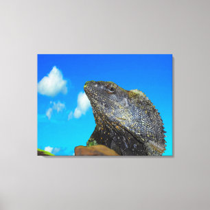 Frill necked Lizard Canvas Print