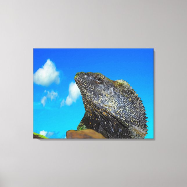Frill necked Lizard  Canvas Print (Front)