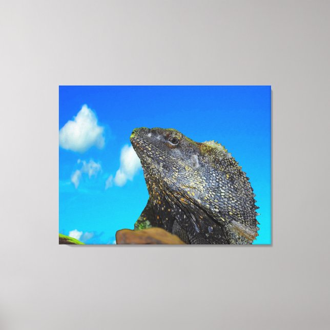Frill necked Lizard  Canvas Print (Front)