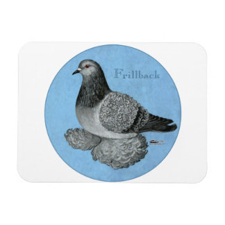 Frillback Blue Grizzle Pigeon Magnet