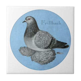 Frillback Blue Grizzle Pigeon Tile