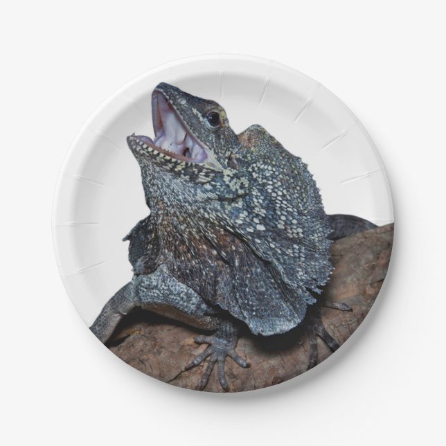Frilled-neck lizard paper plate (Front)
