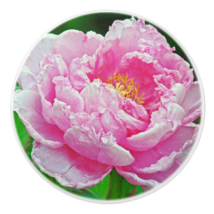 FRILLY PINK PEONY CERAMIC KNOB