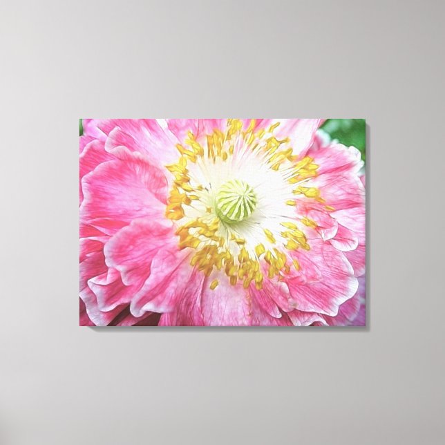 Frilly Pink Poppy Canvas Print (Front)