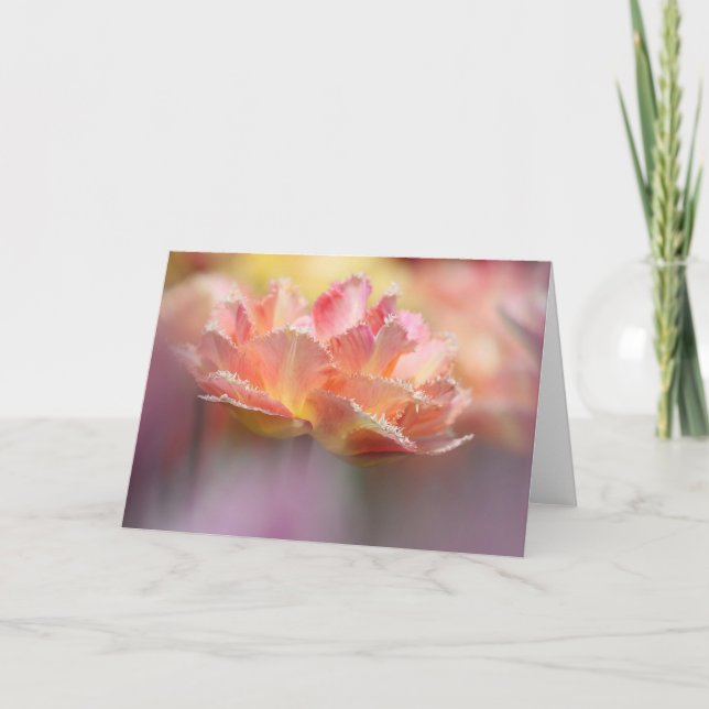 Fringed Pink Tulip Card (Front)
