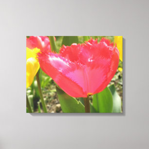 Fringed Tulips Canvas Print
