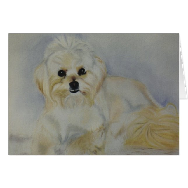 "Frisky" (Front Horizontal)