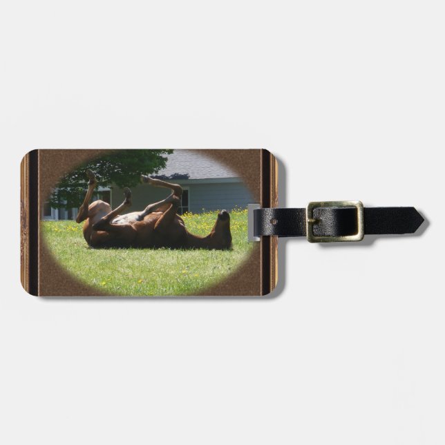 Frisky Foal ~ Luggage Tag (Front Horizontal)