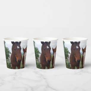 Frisky Hair: Delightful Horse Troubles,  Paper Cups