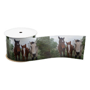Frisky Hair: Delightful Horse Troubles, Satin Ribbon