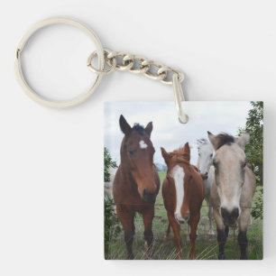 Frisky Hair, Four Horse Pals, Key Ring