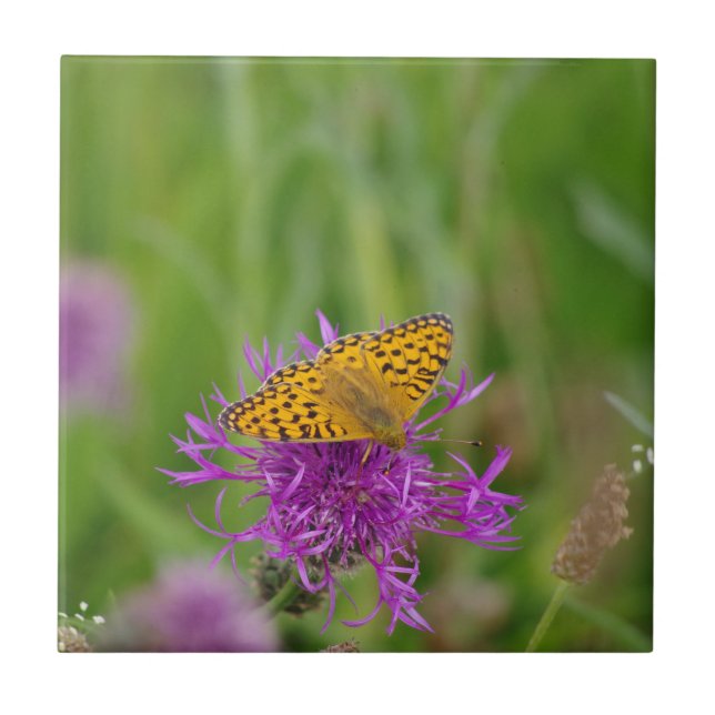 Fritillary Butterfly Ceramic Tile (Front)